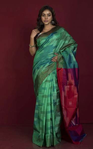 Bishnupuri Pochampally Ikkat Silk Saree