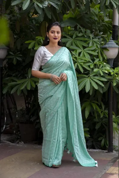 Self Jaquard Saree