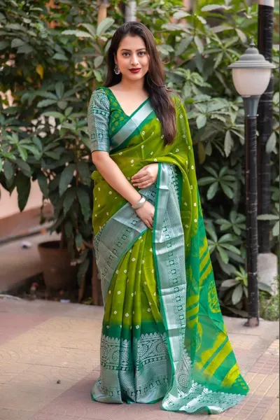 Soft Jute Silk Bandhej Print Saree