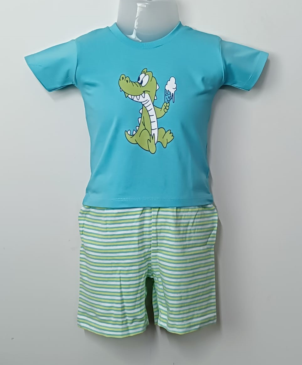 Baby Boys Graphic Printed Pure Cotton T-shirt Short Pant