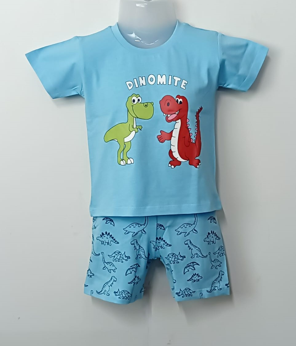 Baby Boys Graphic Printed Pure Cotton T-shirt Short Pant