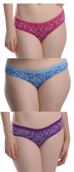 Daily Wear Panties for Girls And Women