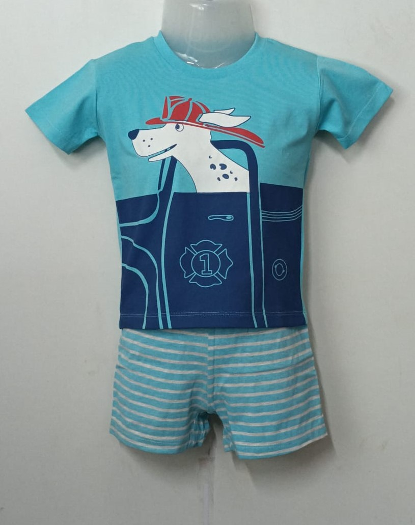 Baby Boys Graphic Printed Pure Cotton T-shirt Short Pant