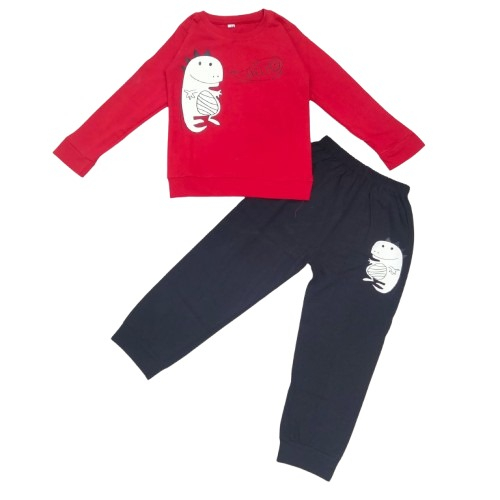 Kids Full Sleeves Printed T-shirt And Full Pant Set