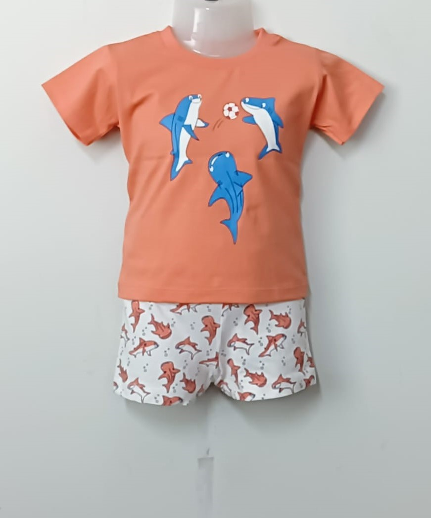 Baby Boys Graphic Printed Pure Cotton T-shirt Short Pant